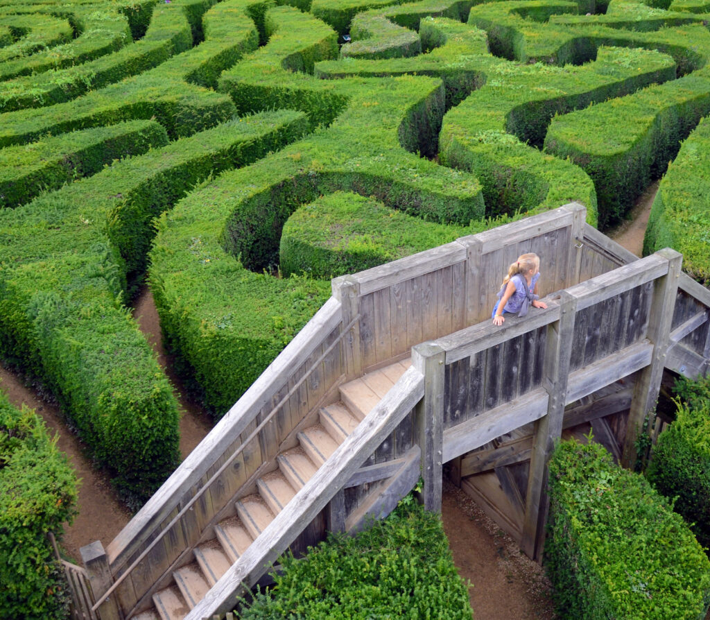 Labyrinth aus grünen Hecken mit Aussichtspunkt